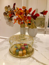 Load image into Gallery viewer, Dome Cake Plate with Gold Mesh Design
